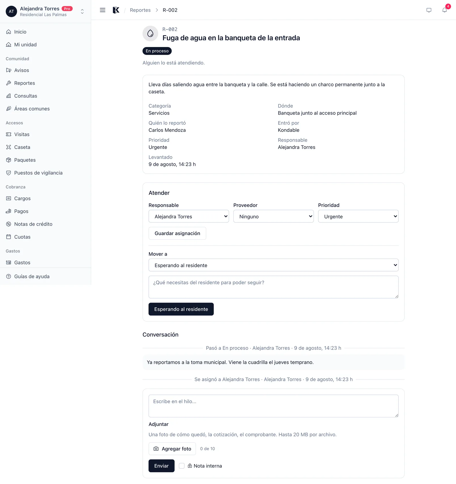 Detalle de un reporte