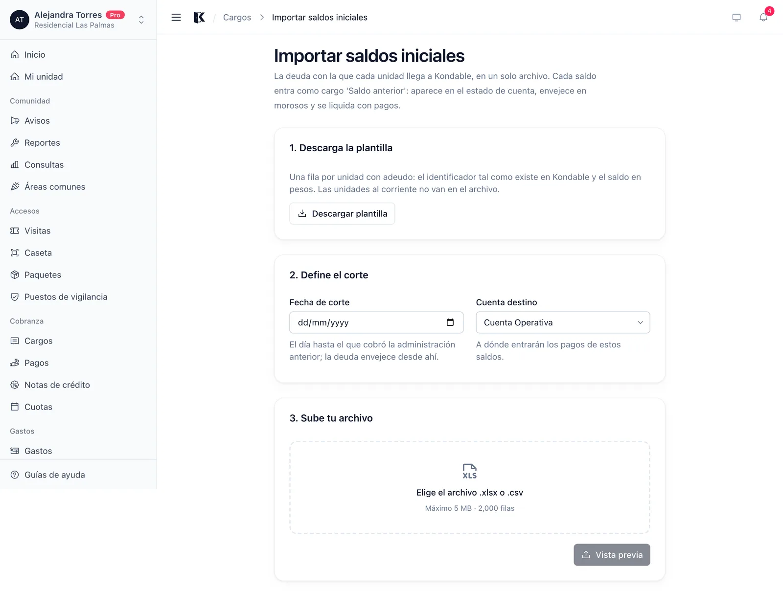 Importar saldos iniciales